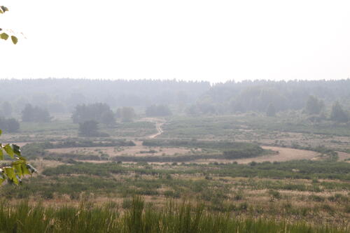 Sehen Sie selbst... © Karin Einsle