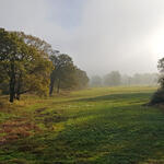 Auen mit Solitäreichen  © Heike Culmsee/DBU Naturerbe GmbH