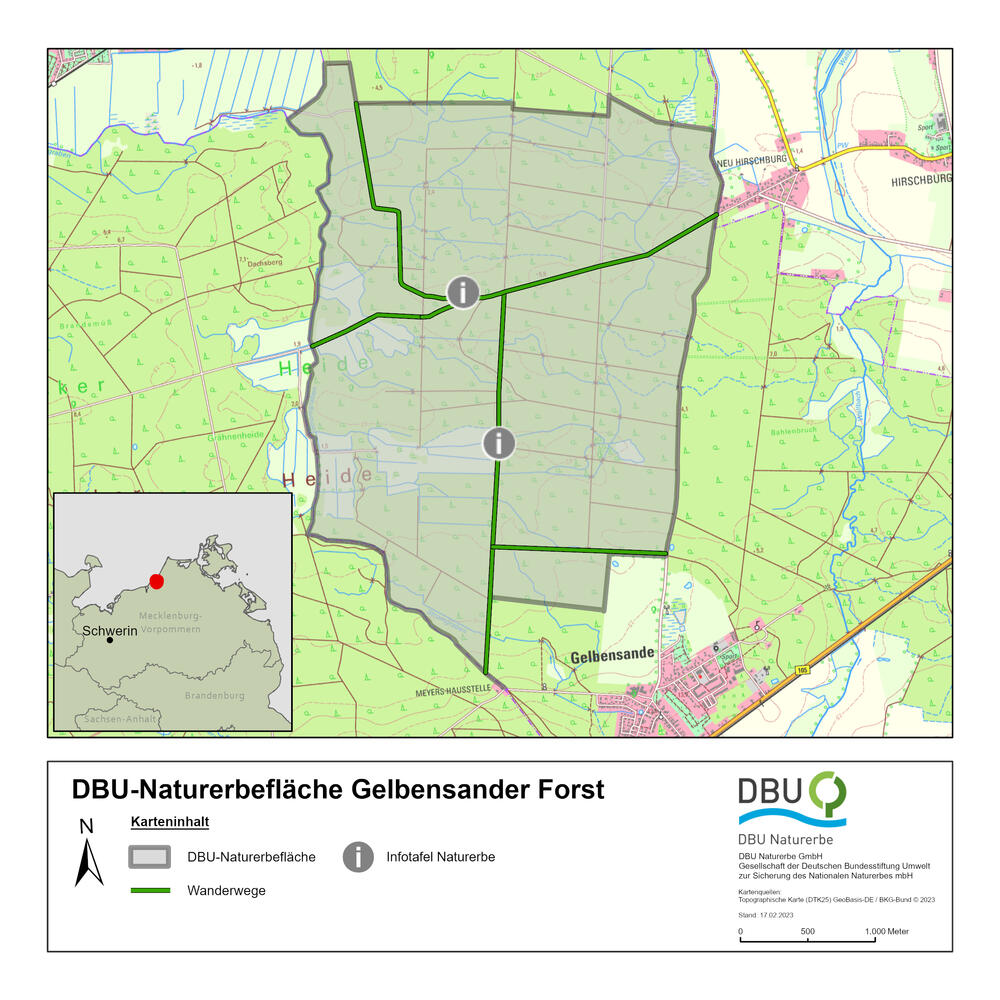 DBU-Naturerbefläche Gelbensander Forst © DBU Naturerbe