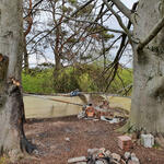 DBU Naturerbe Ebenberg Müll © Roland Schröder/DBU Naturerbe