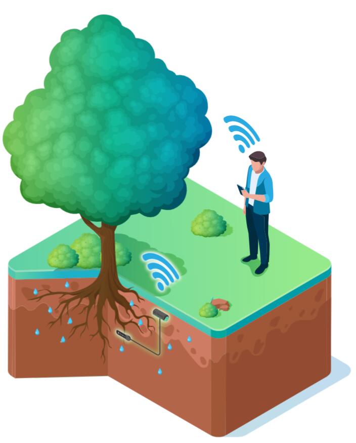 Prinzip des Bodenfeuchtemesssystems PLANTObelly © Plantobelly UG