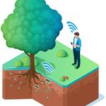 Prinzip des Bodenfeuchtemesssystems PLANTObelly © Plantobelly UG