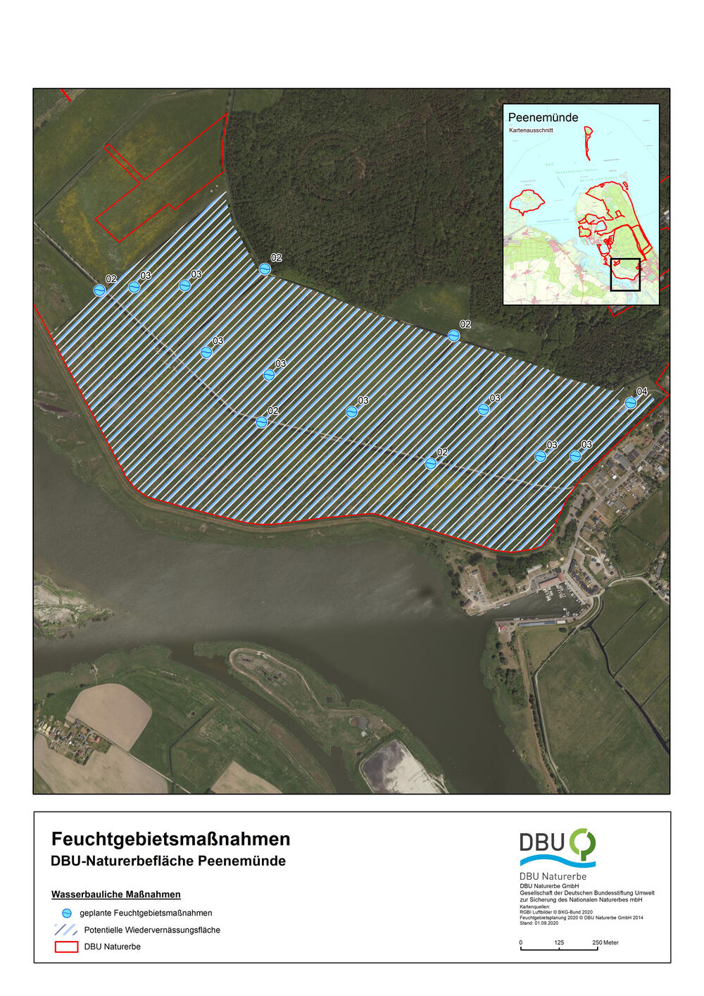 DBU-Naturerbefläche Peenemünde © DBU Naturerbe GmbH