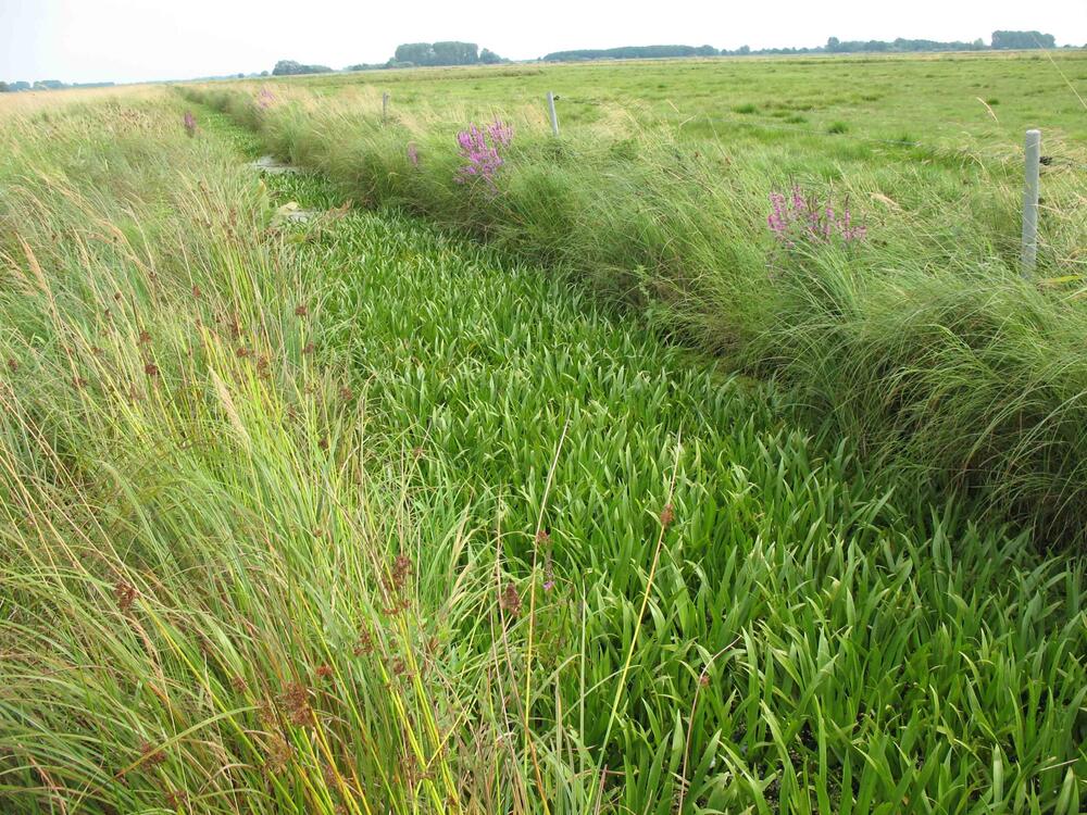 Graben im Projektgebiet &copy; F. Kastner