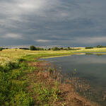 Cedynia Ackersenke &copy; Harald Albrecht