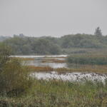 Unterems &copy; C. Stocksieker