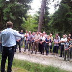 Teilnehmer der Infoveranstaltung im Wald © DBU Naturerbe GmbH