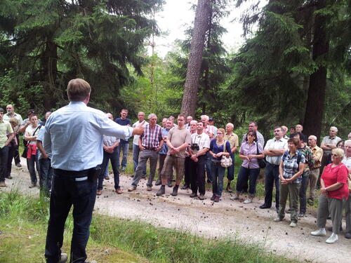 Teilnehmer der Infoveranstaltung im Wald © DBU Naturerbe GmbH