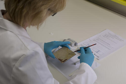 Anwenderworkshop © Fraunhofer ISC