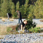 Bergwaldprojekt Prora © Bergwaldprojekt e. V. 