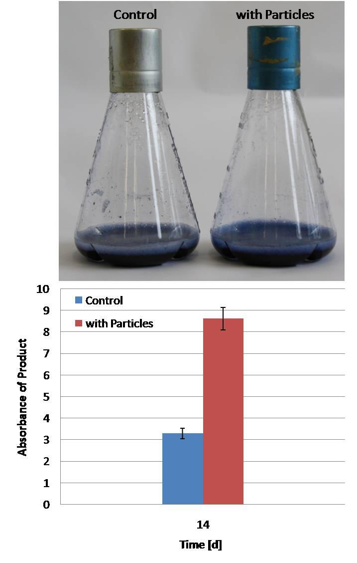Microparticles &copy; Deutsche Bundesstiftung Umwelt