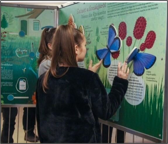 Tagfaltererfassung AZ 33793 © NP-Verwaltung Örség