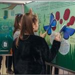 Tagfaltererfassung AZ 33793 © NP-Verwaltung Örség