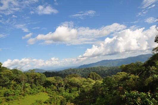 Kulturlandschaft AZ 35333 © Dr. Girma Shumi