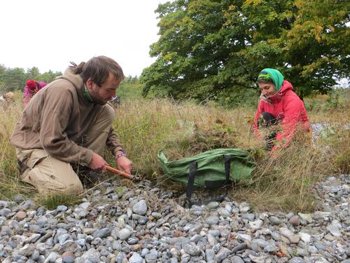 Bergwaldprojekt auf DBU-Naturerbefläche Prora © Bergwaldprojekt/ Naumann