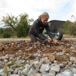 Bergwaldprojekt Prora © Bergwaldprojekt/ Naumann