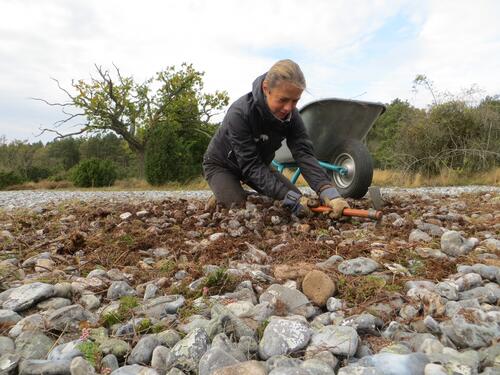 Bergwaldprojekt Prora © Bergwaldprojekt/ Naumann