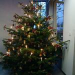 DBU-Weihnachtsbaum 2008 (Foto: DBU) 