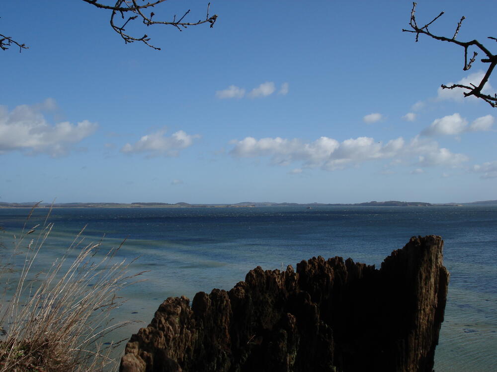 Stipendiatenseminar auf der Insel Vilm März 2009 
