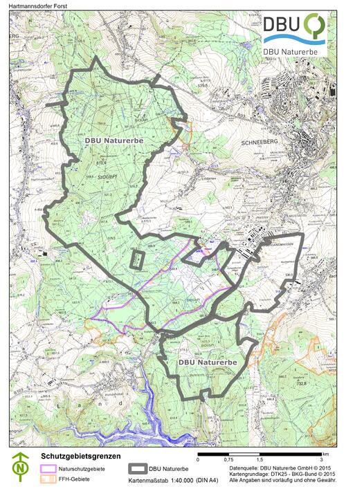 DBU-Naturerbefläche Hartmannsdorfer Forst © Deutsche Bundesstiftung Umwelt