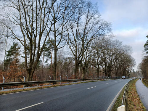 B221 Richtung Norden  © Martin Wingertszahn/Bundesforst