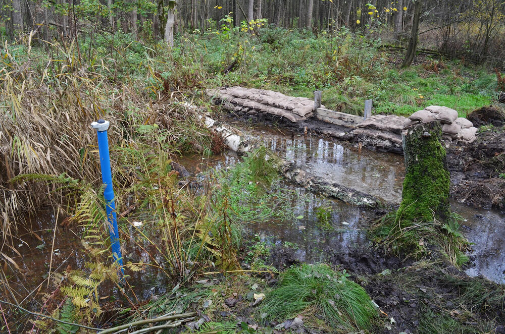 Deutener Moor - Abflussreduzierung © Dr. Johannes Meßer/Lippe Wassertechnik