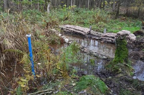 Deutener Moor - Abflussreduzierung © Dr. Johannes Meßer/Lippe Wassertechnik