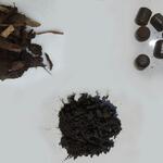 Pflanzenkohle aus Rinde 