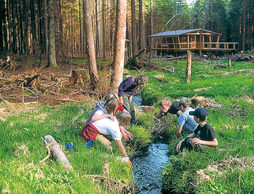 DBU-gefördertes Wildniscamp Falkenstein 
