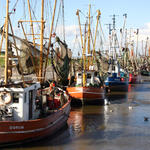 Fischkutter © Paulus, Hans-Gerd/piclease