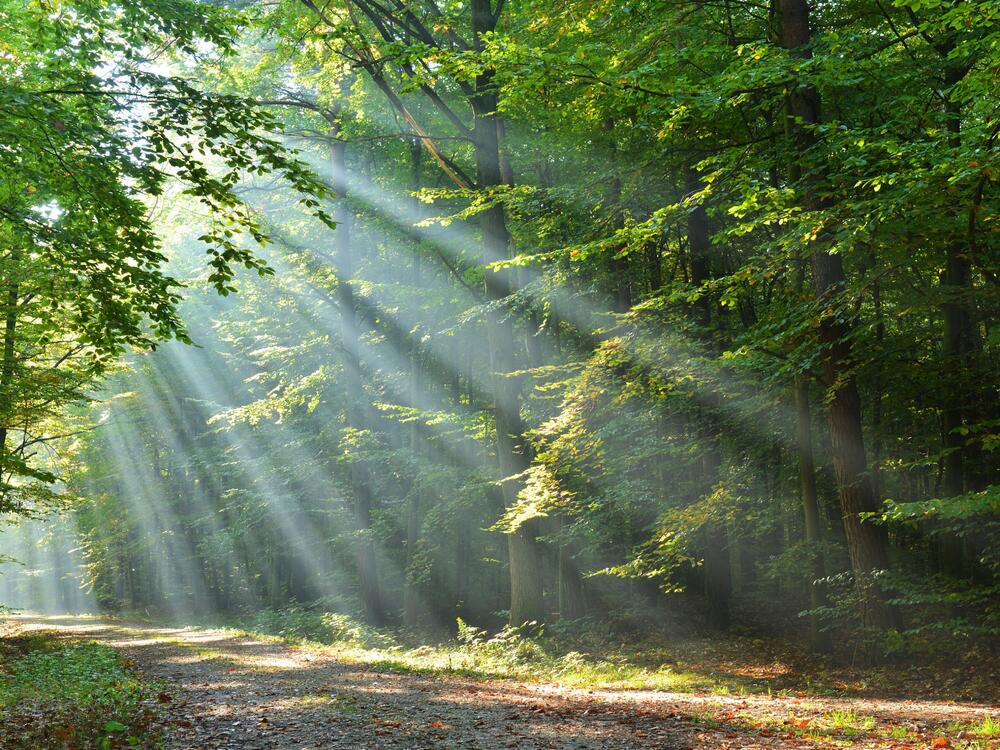 Das Vorhaben trägt zur Stärkung der deutschen UNESCO Global Geoparks als Lernorte in Bezug auf die Umsetzung der Agenda 2030 in Deutschland bei. © Canva/kawasny221