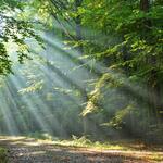 Das Vorhaben trägt zur Stärkung der deutschen UNESCO Global Geoparks als Lernorte in Bezug auf die Umsetzung der Agenda 2030 in Deutschland bei. © Canva/kawasny221