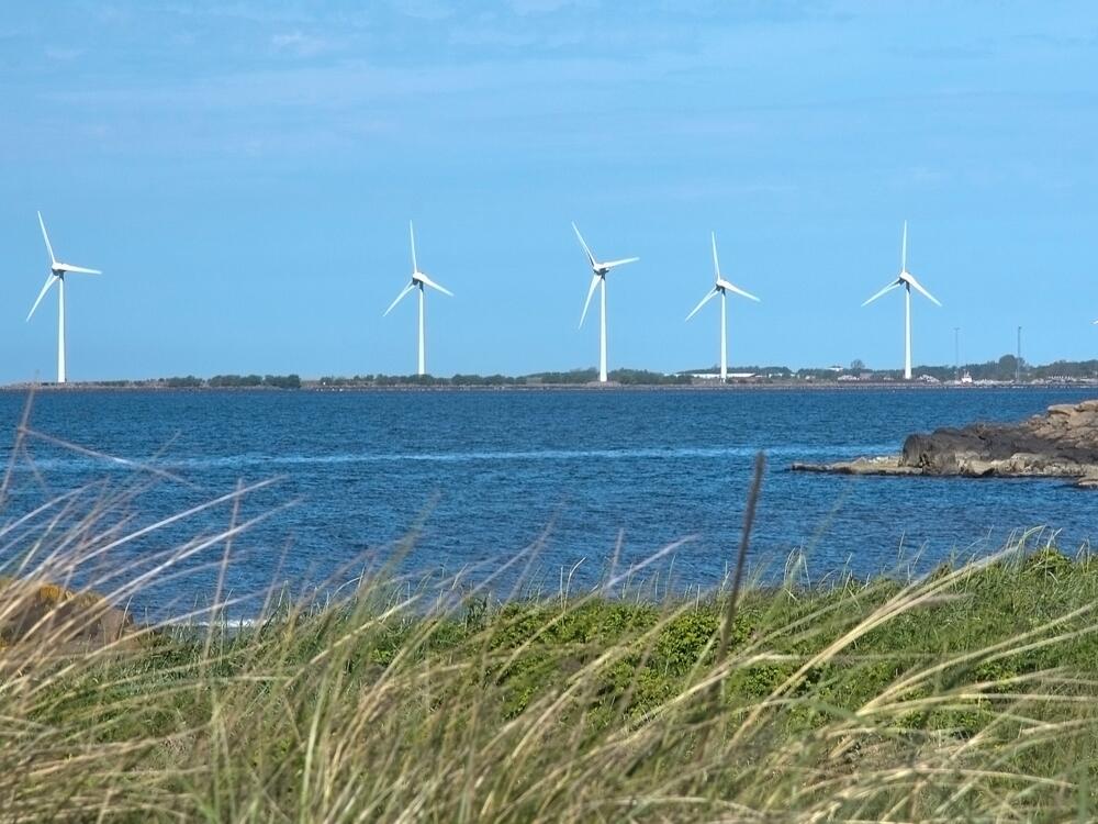 Obwohl Erneuerbare Energien (EE) für die Energiewende unverzichtbar sind, wurden 2020 in Deutschland auffällig wenig neue Windenergieanlagen errichtet. Einer der Gründe dafür ist ein Nachhaltigkeitsdilemma zwischen den Belangen des Natur- bzw. Artens © Canva/ArtesiaWells