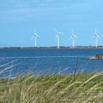 Obwohl Erneuerbare Energien (EE) für die Energiewende unverzichtbar sind, wurden 2020 in Deutschland auffällig wenig neue Windenergieanlagen errichtet. Einer der Gründe dafür ist ein Nachhaltigkeitsdilemma zwischen den Belangen des Natur- bzw. Artens © Canva/ArtesiaWells