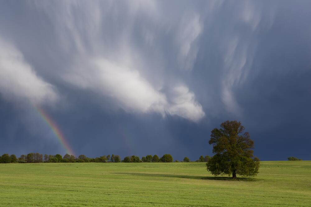 Regenbogen über Feld &copy; piclease/Falk Herrmann