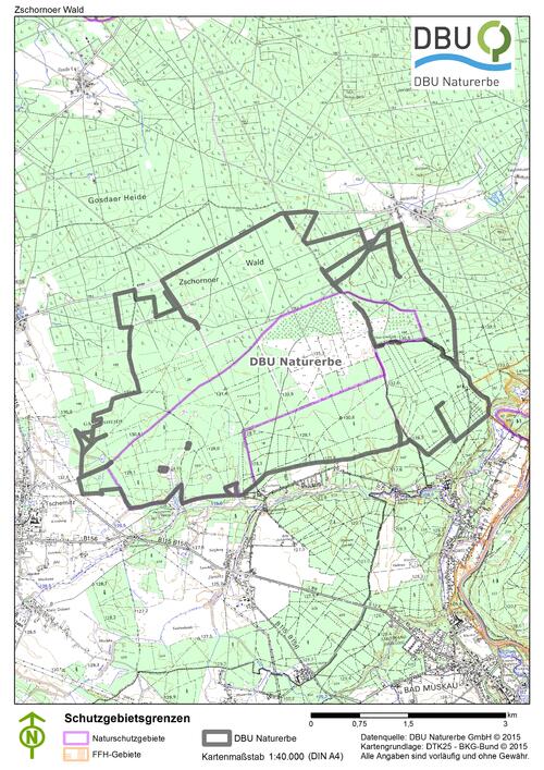 Die rund 1800 Hektar große DBU-Naturerbefläche Zschornoer Wald gehört zum Nationalen Naturerbe © Deutsche Bundesstiftung Umwelt
