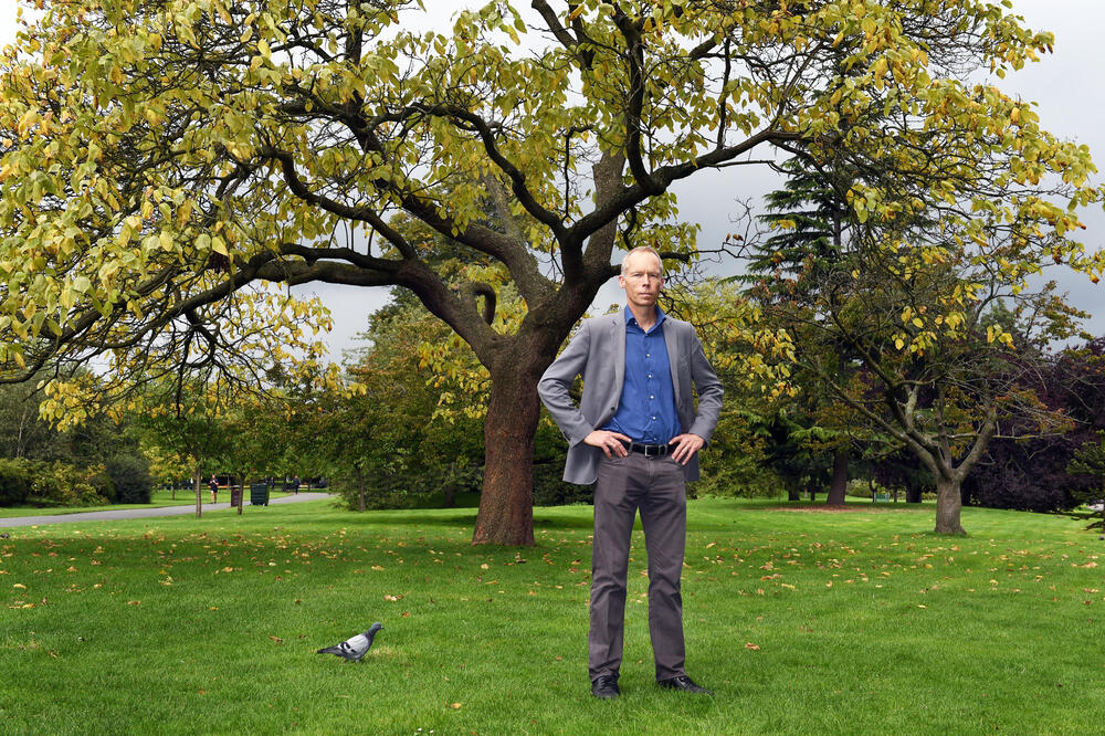 Rockström Baum fern im Regent's Park London © DBU/Peter Himsel
