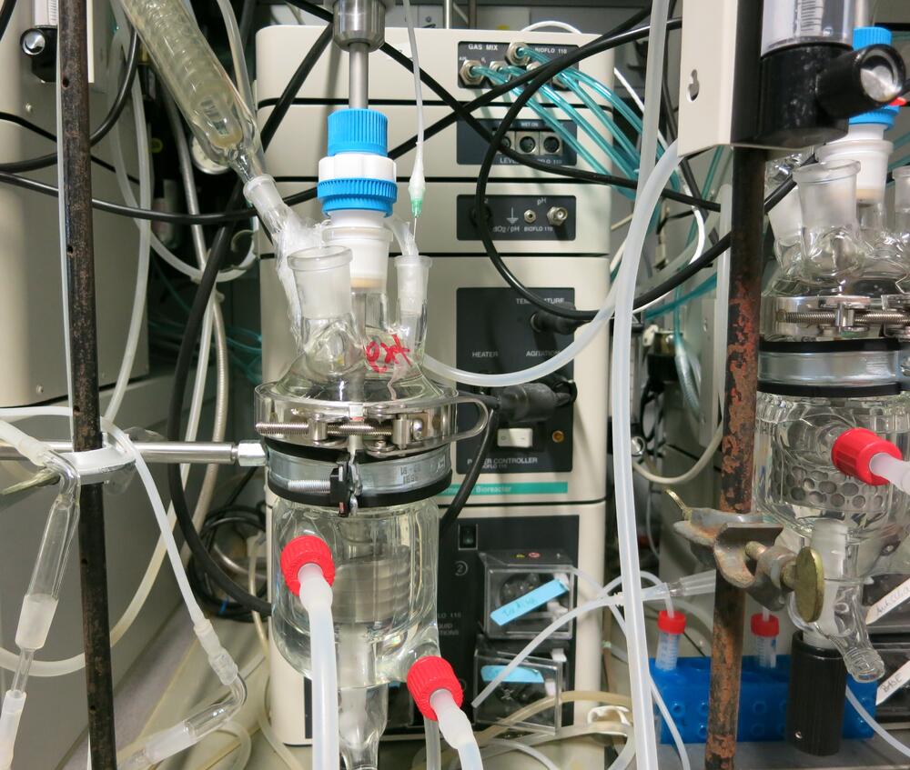 Biokatalysator- Kopie 