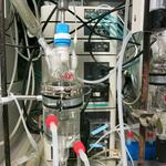 Biokatalysator- Kopie 