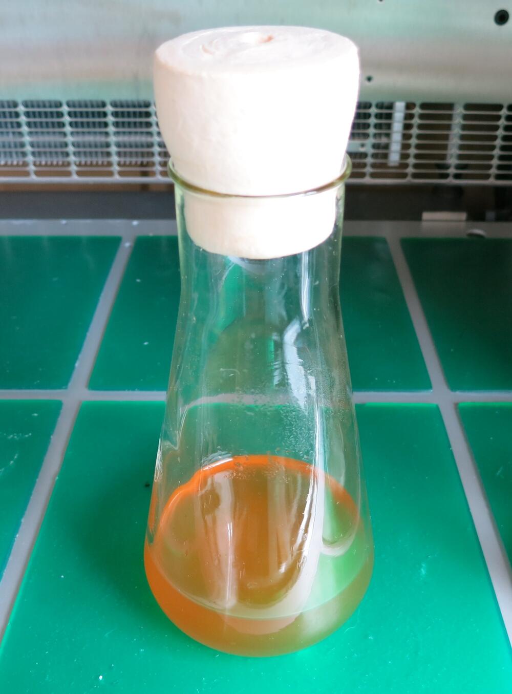 Transaminase - Kopie 