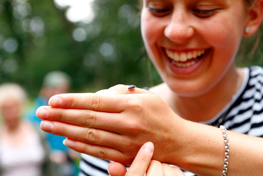 Sehen Sie selbst... © Arnold Morascher 