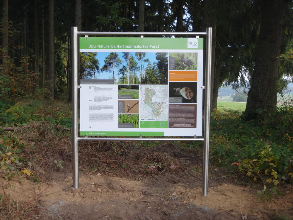 Infotafel Hartmannsdorfer Forst © Bundesforstbetrieb Thüringen-Erzgebirge