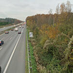 Holzfällarbeiten DBU-Naturerbefläche Wahner Heide © Timo Ertelt/Bundesforst