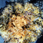 Pfahlbohrmuschel Teredo navalis &copy; Universität Rostock