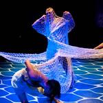 Dance for Nature © Uwe Lewandovski