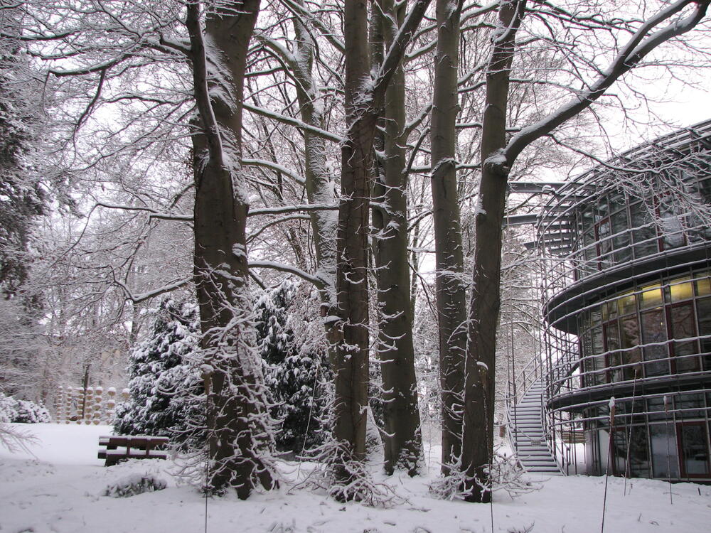 DBU-Park im Winter 