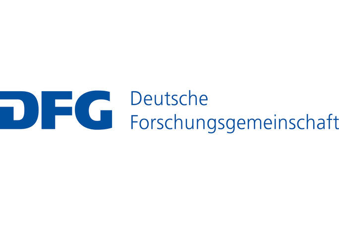Logo DFG 