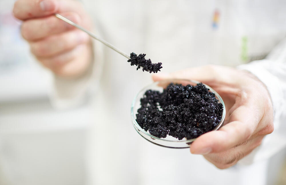 Mit diesen Granulaten wird Arsen aus Trinkwasser entfernt. © GEH Wasser­chemie