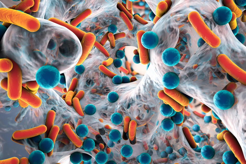 Antibiotikaresistente Bakterien in der Ver­größerung © Kateryna Kon - stock.adobe.com