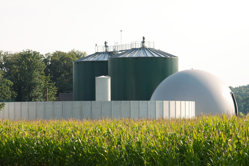 Da Gülle auch in Biogasanlagen verwendet wird, wurde geprüft, ob Antibiotika dort beseitigt werden können. © Dirk Grasse/piclease